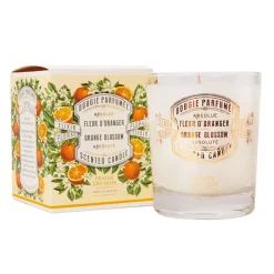 Fabrique de Styles Bougies Parfumées>Bougie parfumée fleur d'oranger 45h - Les absolues Multicolore