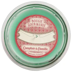 Fabrique de Styles Bougies Parfumées>Bougie sous le figuier 220g Vert