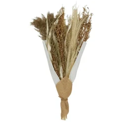 Fabrique de Styles Fleurs Séchées>Bouquet fleurs séchées limonium h50cm plantes séchées Brun