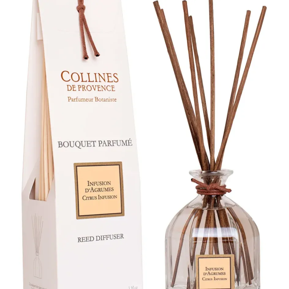 Fabrique de Styles Bouquets Parfumés>Bouquet parfume infusion d'agrumes 100ml Multicolore