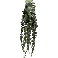 Fabrique de Styles Fleurs Et Plantes Artificielles>Branchage artificiel h70cm - Eucalyptus Celadon