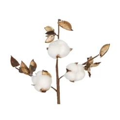 Fabrique de Styles Fleurs Séchées>Branche de coton Blanc