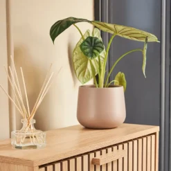 Fabrique de Styles Cache-pots Et Supports>Cache pot en céramique d13.5cm Taupe