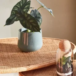 Fabrique de Styles Cache-pots Et Supports>Cache pot en céramique d13.5cm Vert