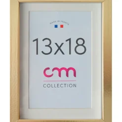 Fabrique de Styles Cadres Photos>Cadre photo passe partout 1vue 13x18cm Champagne