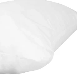 Fabrique de Styles Coussins Et Housses>coussin de garnissage en polyester 30X50cm Blanc