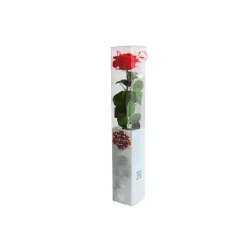 Fabrique de Styles Vases Et Soliflores>Dame jeanne 0.7l en verre d8.5xh20cm Olive