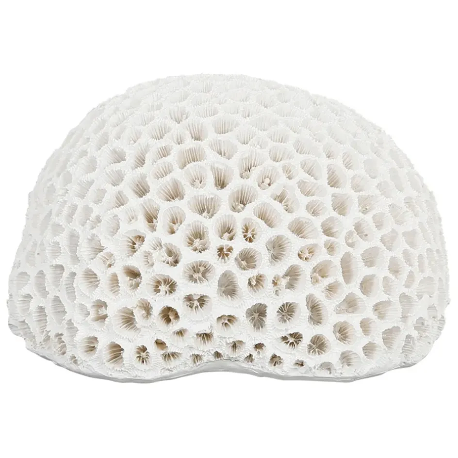 Fabrique de Styles Petits Objets Déco>Déco corail rond - bordemer Blanc