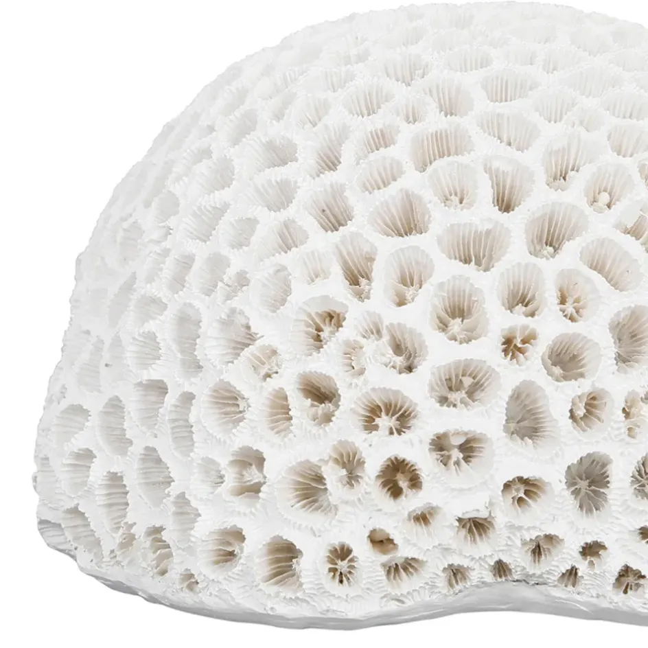 Fabrique de Styles Petits Objets Déco>Déco corail rond - bordemer Blanc