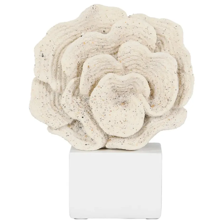 Fabrique de Styles Petits Objets Déco>Déco corail h22,5cm - Ostrea Sable