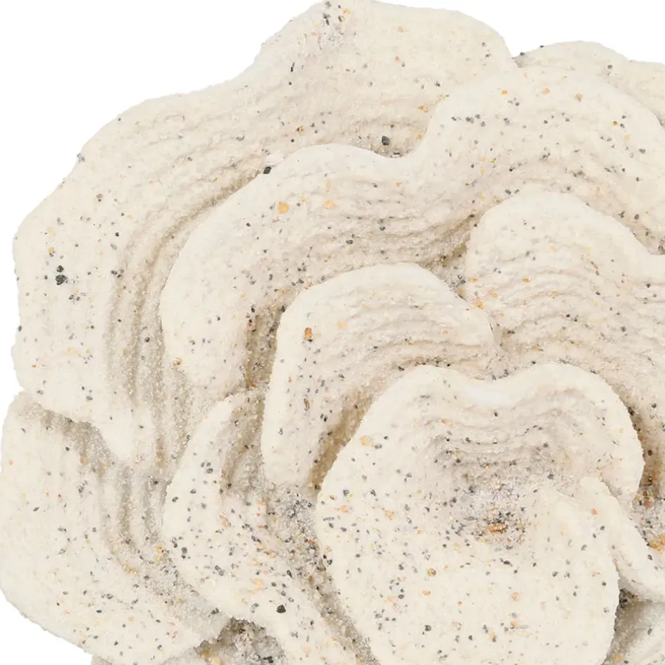 Fabrique de Styles Petits Objets Déco>Déco corail h22,5cm - Ostrea Sable