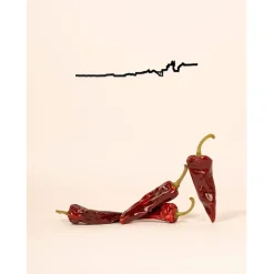 Fabrique de Styles Déco À Suspendre Et Adhésive>Décoration murale ligne biarritz 50cm Noir