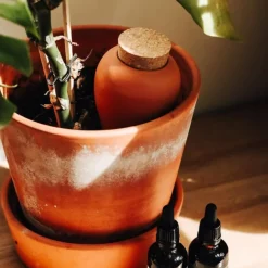 Fabrique de Styles Accessoires><noscript><img width=