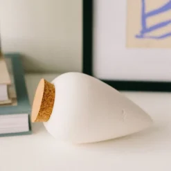 Fabrique de Styles Accessoires>Diffuseur d'eau en argile pur 25cl - Olla Blanc