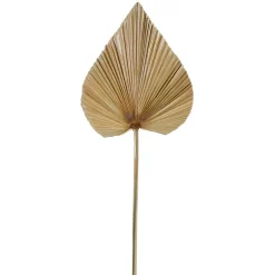 Fabrique de Styles Fleurs Séchées>Feuille de palmier h62cm - Golden Naturel
