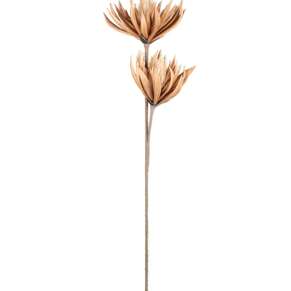 Fabrique de Styles Fleurs Et Plantes Artificielles>Fleur artificielle h97cm - Fleur Brun