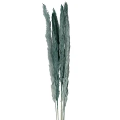 Fabrique de Styles Fleurs Et Plantes Artificielles>Fleur pampas x6 h75cm vegetal Emeraude