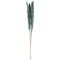 Fabrique de Styles Fleurs Et Plantes Artificielles>Fleur pampas x6 h75cm vegetal Emeraude