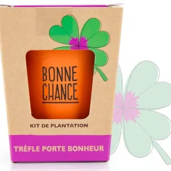 Fabrique de Styles Prêt À Pousser>Kit message bonne chance - trèfle à 4 feuilles Multicolore