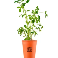 Fabrique de Styles Prêt À Pousser><noscript><img width=