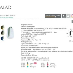 Fabrique de Styles Luminaires|Jardin>Lampe nomade h25cm - Balad Cactus