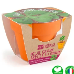 Fabrique de Styles Prêt À Pousser>Mini kit d6cm terre cuite trèfle 4 feuilles Multicolore