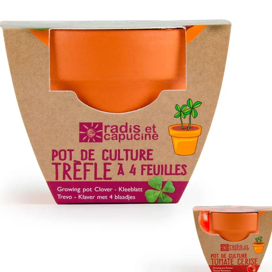 Fabrique de Styles Prêt À Pousser>Mini kit d6cm terre cuite trèfle 4 feuilles Multicolore