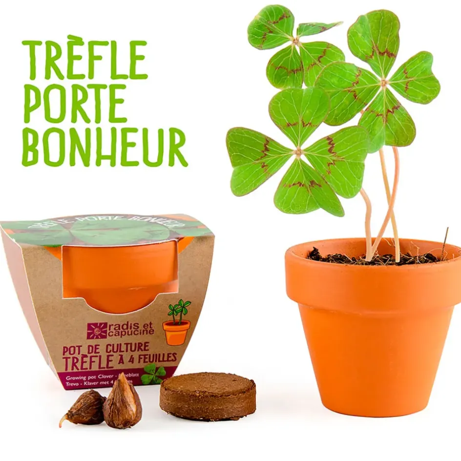 Fabrique de Styles Prêt À Pousser>Mini kit d6cm terre cuite trèfle 4 feuilles Multicolore