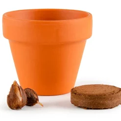 Fabrique de Styles Prêt À Pousser><noscript><img width=