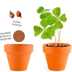 Fabrique de Styles Prêt À Pousser><noscript><img width=