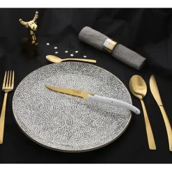 Fabrique de Styles Ménagères>Ménagère 16 pièces en acier e Doré