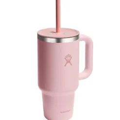 Fabrique de Styles Gourdes>Mug isotherme avec poignée et paille 946ml Rose
