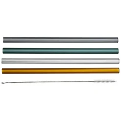 Fabrique de Styles Accessoires Réutilisables>Paille avec brosse x4 dilacia h15.5cm en verre borosilicate Transparent
