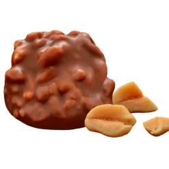 Fabrique de Styles Chocolats Et Confiseries>Petit croc' lait cacahuetes 53g Marron