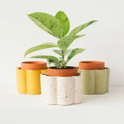 Fabrique de Styles Vases Et Soliflores>Pot auto-arrosant en céramique sauge et argile d14cm - Paula Vert