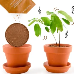 Fabrique de Styles Prêt À Pousser><noscript><img width=