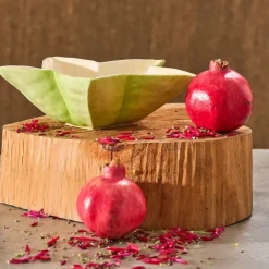 Fabrique de Styles Plats Et Saladiers>Saladier étoile de mer en dolomite vert et jaune d28cm Jaune, Vert