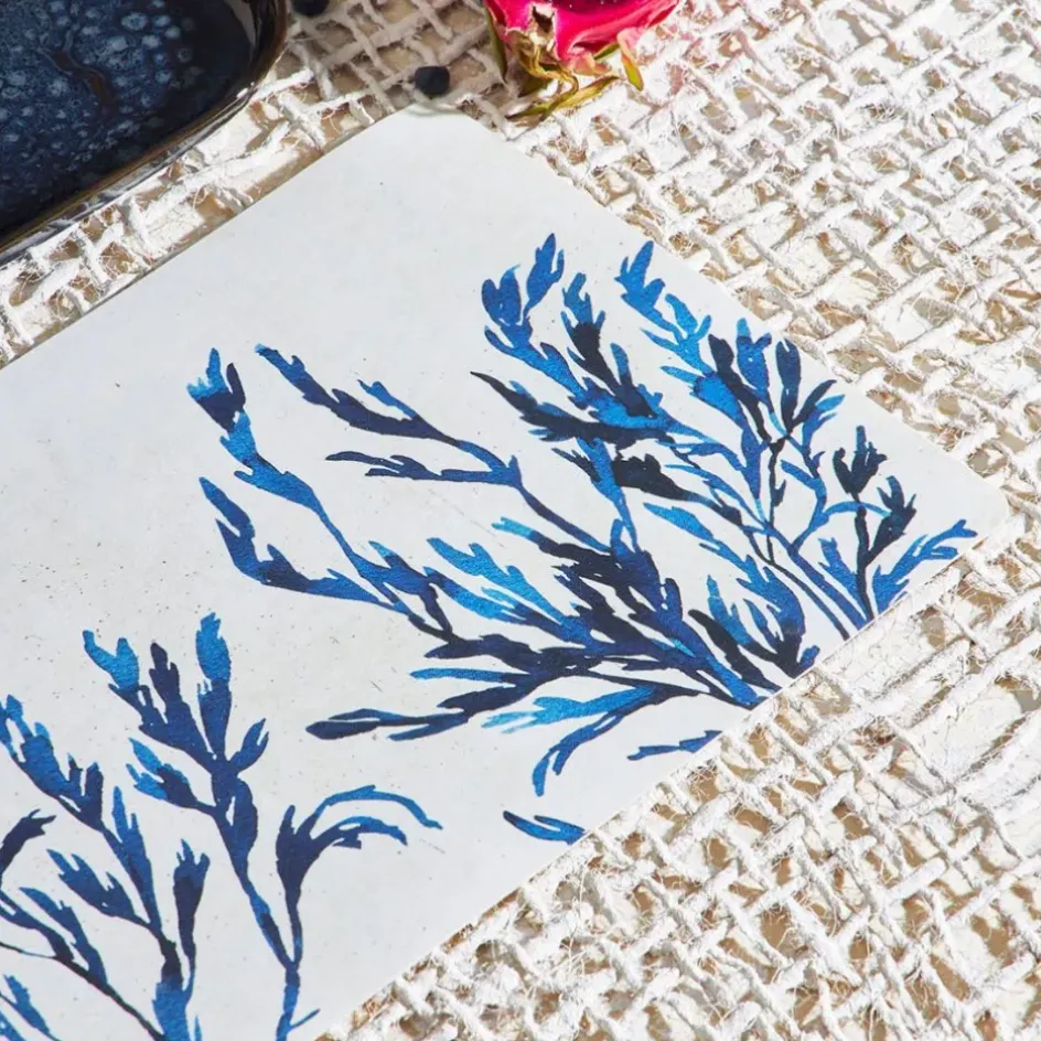 Fabrique de Styles Sets De Table>Set de table corail en vinyle 30x45cm - Corail Bleu Marine