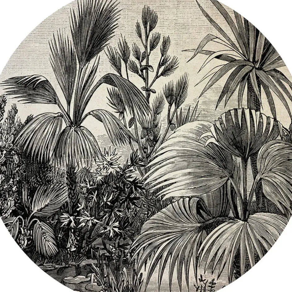 Fabrique de Styles Sets De Table>Set de table vinyle foret d35cm Blanc, Gris