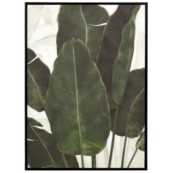 Fabrique de Styles Tableaux Et Toiles>Tableau en toile encadré feuilles 52x72cm - Gallery Kaki