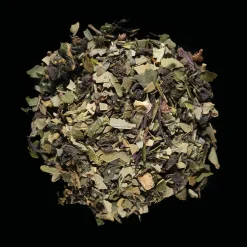 Fabrique de Styles Cafés, Thés Et Infusions>Thé bien-être Fresh detox bio 14 sachets infusettes Multicolore